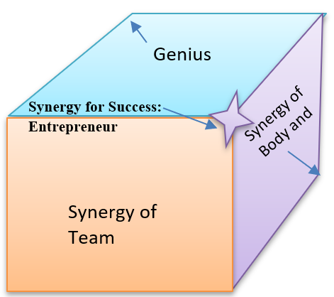 Model of Synergy